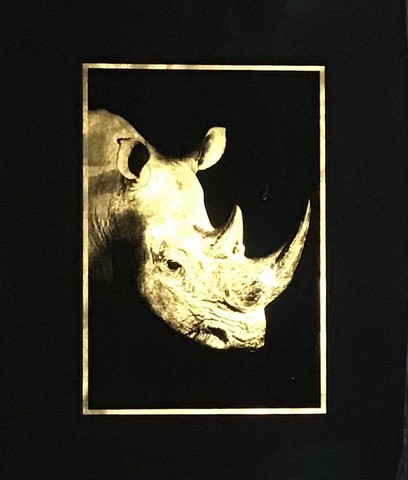 RHINO / JEAN-PHILIPPE RIGOTTI