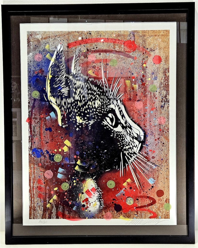 chat tom c215